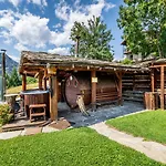 Hotel Brieis Relais Alpino 3*